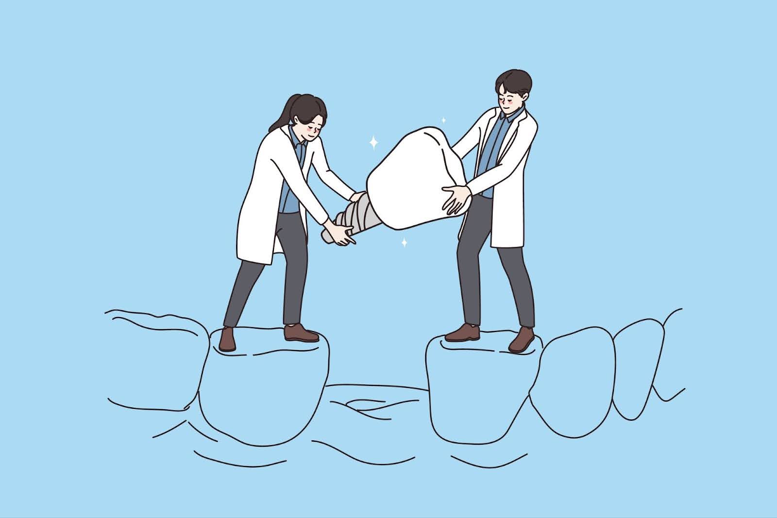 Two dentist figures in lab coats holding a dental implant above a gap between two dental roots.